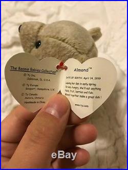 RARE Almond Ty Beanie Baby 1999 with 