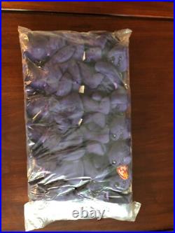 1 Dozen Ty Beanie Babies Princess Diana Ty Plastic Sealed Dozen Rare Find