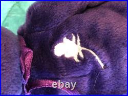 1 Dozen Ty Beanie Babies Princess Diana Ty Plastic Sealed Dozen Rare Find