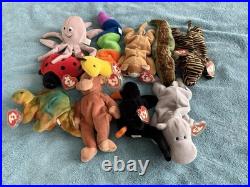 (10) RARE 3rd Gen TY Beanie Babies -NO STAR/Authentic 1993-95 -Steg, Inky, Lucky