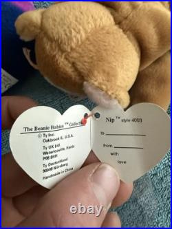 (10) RARE 3rd Gen TY Beanie Babies -NO STAR/Authentic 1993-95 -Steg, Inky, Lucky