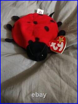 1993 Ty Beanie Baby PVCLucky Ladybug RetiredExtremely Rare Tag Errors! Mint