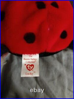 1993 Ty Beanie Baby PVCLucky Ladybug RetiredExtremely Rare Tag Errors! Mint