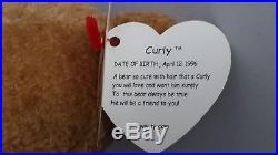 1996 Ty Beanie Baby Curly bear Rare hang tag Errors
