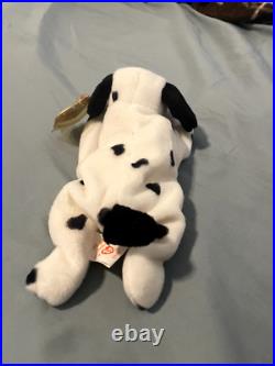 1996 Ty Dotty PVC and Tag errors RARE MINT