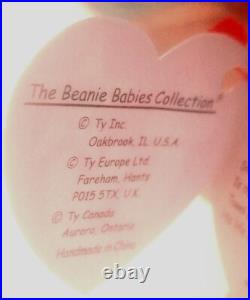 1997 Super RARE Iggy the Original First Batch Beanie Baby With Errors