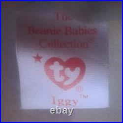 1997 Super RARE Iggy the Original First Batch Beanie Baby With Errors