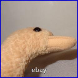 1998 Stretch 10 Retired Ty Beanie Baby Very Rare Misspelled Swing Tag (Gasport)