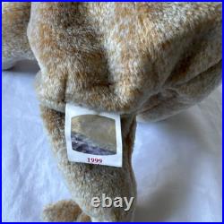 1999 Signature Bear Ty Beanie Baby Rare Original Retired with tag errors