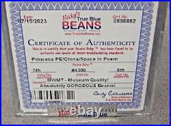 2 Rare Princess, Ty Beanies Certified Graded, Rare Space & No Space Writing+Bonus