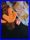 2-TY-Beanie-Baby-Chocolate-the-Moose-VERY-RARE-Errors-Mint-Condition-Retired-01-yh