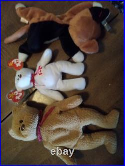 3 Beanie All 4 $150. RARE- MANY ERRORS- VINTAGE-TY BEANIE BABY BEAR CURLY