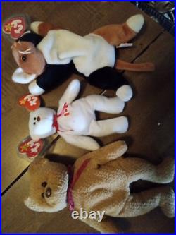 3 Beanie All 4 $150. RARE- MANY ERRORS- VINTAGE-TY BEANIE BABY BEAR CURLY