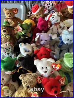 36 Different Beanie Baby Bears (Including Rare) $10 A Piece. All Mint with Tags
