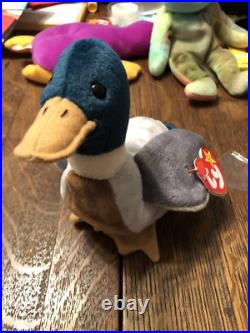 5 RARE Ty Beanie Baby Babies Errors Jake The Duck Echo Roam Peace Bear Patti 5 RARE Ty Beanie Baby Babies Errors Jake The Duck Echo Roam Peace Bear Patti