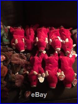 526 Huge Beanie Baby lot w many rare ones