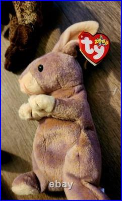 8? Ty Beanie Babies Millennium Y2K 1999 Multicolor Includes Very HTF Rare Collect