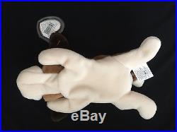 All Collectors RARE TY Beanie Babies BERNIE Dog ERROR PVC China Canada TAG