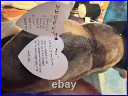 Authentic TY Beanie Baby WISE the owl class of'98. Retired. Rare. Tag errors