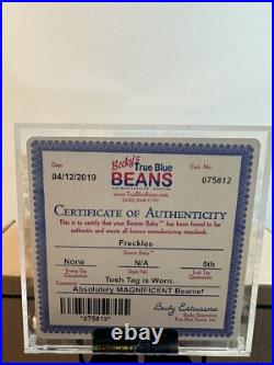 Authenticated Museum Rare Freckles TY Beanie Baby MINT Condition Retired