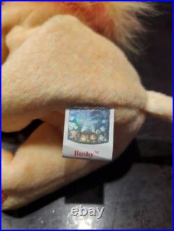 BUSHY- Ty Beanie Babies- RARE- Retired- MINT Condition- 2000