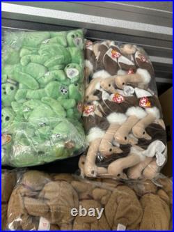 Beanie Babies Baby Ty Lot Unique & Rare all have Tags many Aprox 130+ Brand New