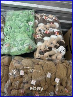 Beanie Babies Baby Ty Lot Unique & Rare all have Tags many Aprox 130+ Brand New