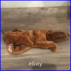 Beanie Babies Bucky the Bear TY Beanie Baby With Lots of Ultra Rare Tag Errors