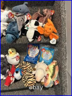 Beanie Babies Lot Of 60 Variety Of Rare & Limited Editiond, Great Condition Beanie Babies Lot Of 60 Variety Of Rare & Limited Editiond, Great Condition
