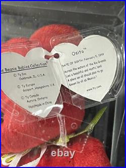 Beanie Babies Osito Ultra Rare Limited Prodaction Brand New