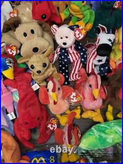 Beanie Babies Rare PVC & PE VINTAGE OLD ERROR On Tags LOT 90's Collection