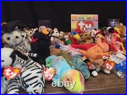 Beanie Babies Rare PVC & PE VINTAGE OLD ERROR On Tags LOT 90's Collection