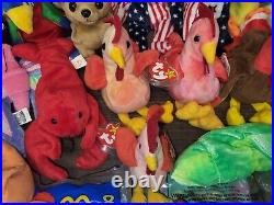 Beanie Babies Rare PVC & PE VINTAGE OLD ERROR On Tags LOT 90's Collection