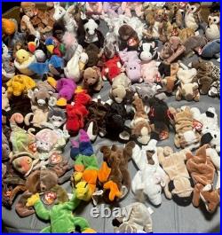 Beanie Babies Tags Lot Of 86 Some Rare And Tag Flaws Excellent Condition