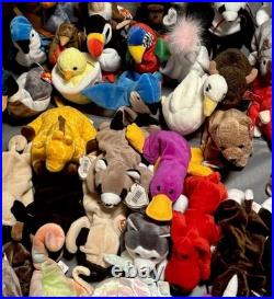 Beanie Babies Tags Lot Of 86 Some Rare And Tag Flaws Excellent Condition