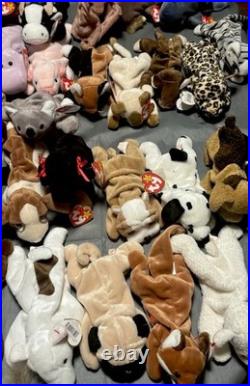 Beanie Babies Tags Lot Of 86 Some Rare And Tag Flaws Excellent Condition