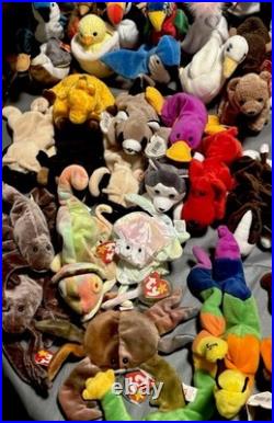 Beanie Babies Tags Lot Of 86 Some Rare And Tag Flaws Excellent Condition