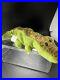 Beanie-Baby-4032-Ally-The-Alligator-Dabble-Tag-Rare-01-ocza