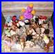 Beanie-Baby-Collection-Rare-Pieces-Included-in-Lot-65-in-Total-01-bsh