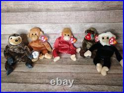 Beanie Baby Collection Rare Pieces Included in Lot, 65 in Total