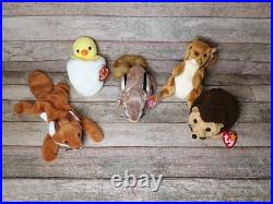 Beanie Baby Collection Rare Pieces Included in Lot, 65 in Total