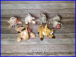 Beanie Baby Collection Rare Pieces Included in Lot, 65 in Total