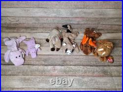 Beanie Baby Collection Rare Pieces Included in Lot, 65 in Total