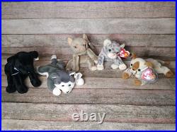 Beanie Baby Collection Rare Pieces Included in Lot, 65 in Total