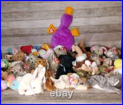 Beanie Baby Collection Rare Pieces Included in Lot, 65 in Total