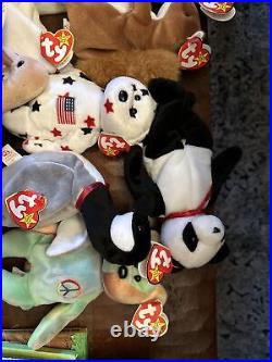 Beanie Baby Lot Rare 13 in total. All retired in the mid 90s Valentina, Fortune