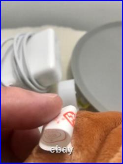 Beanie babies bongo a pair both retired with ultra rare errors