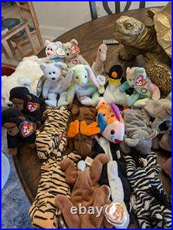 Beanie babies rare