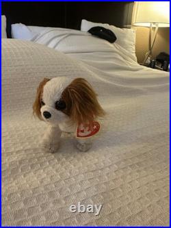 Beanie baby Regal Rare with Errors