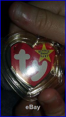 Beanie baby Scoop pelican rare retired new with tag. P. E. Pellets
